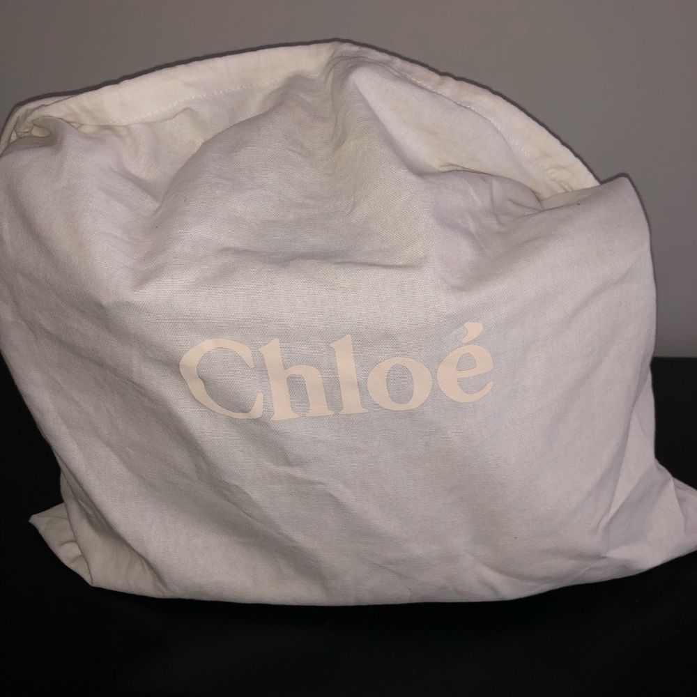 Chloe’ Baylee Color Block Bag *Authentic* - image 8